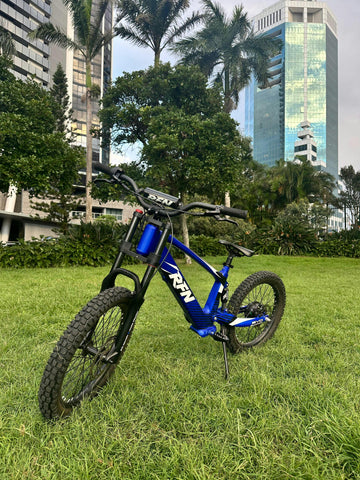 RFN EVO 20 E-Bike
