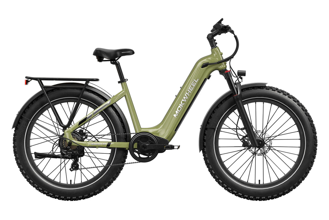 Mokwheel Basalt ST Ebike