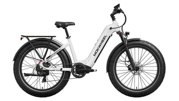 Mokwheel Basalt ST 2.0 Ebike
