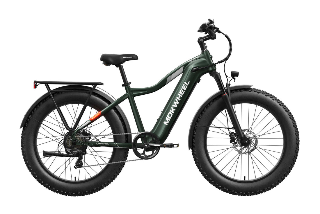 Mokwheel Tor Plus Ebike