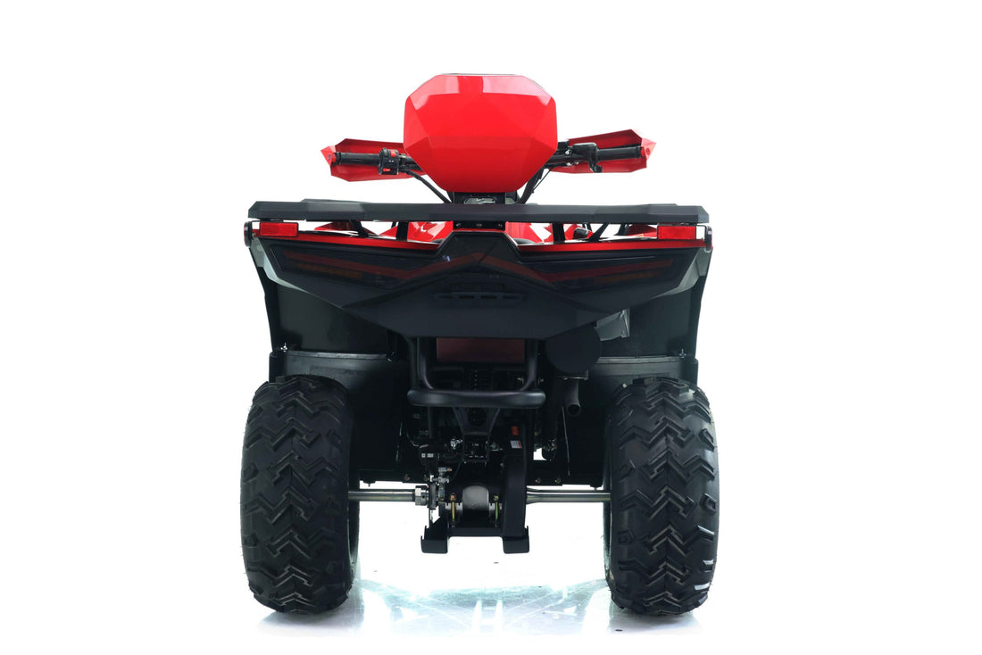 Apollo Cyber Roamer 250 EFI AT