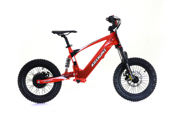 KOZRUNS Lightweight 36V 500W Electric Dirt Bike