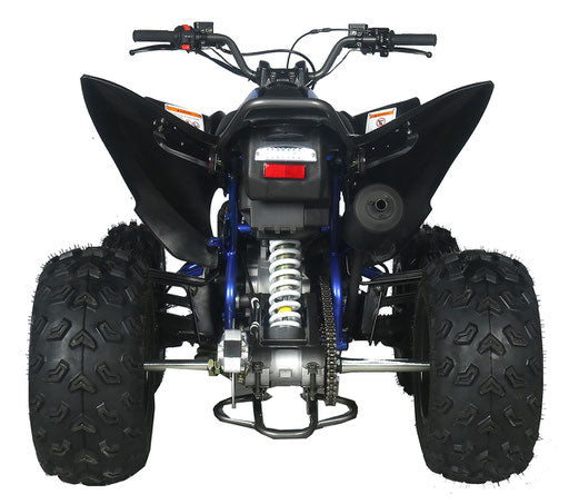 Vitacci PENTORA HUNTER 200EFI ATV
