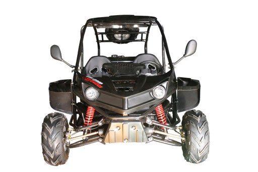 Vitacci T-REX 125cc - Auto Go Kart