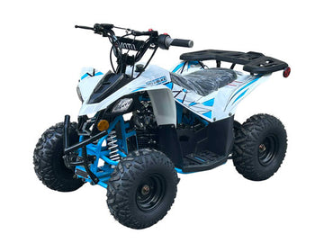 Vitacci SHRIKE 110cc ATV