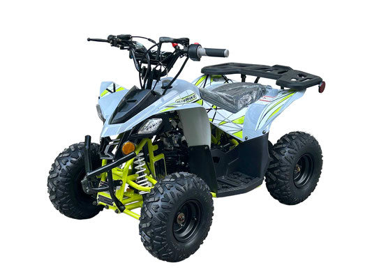 Vitacci SHRIKE 110cc ATV