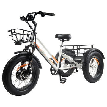 DWMEIGI Zeus MG1703 48V/18.2Ah 750W Electric Trike