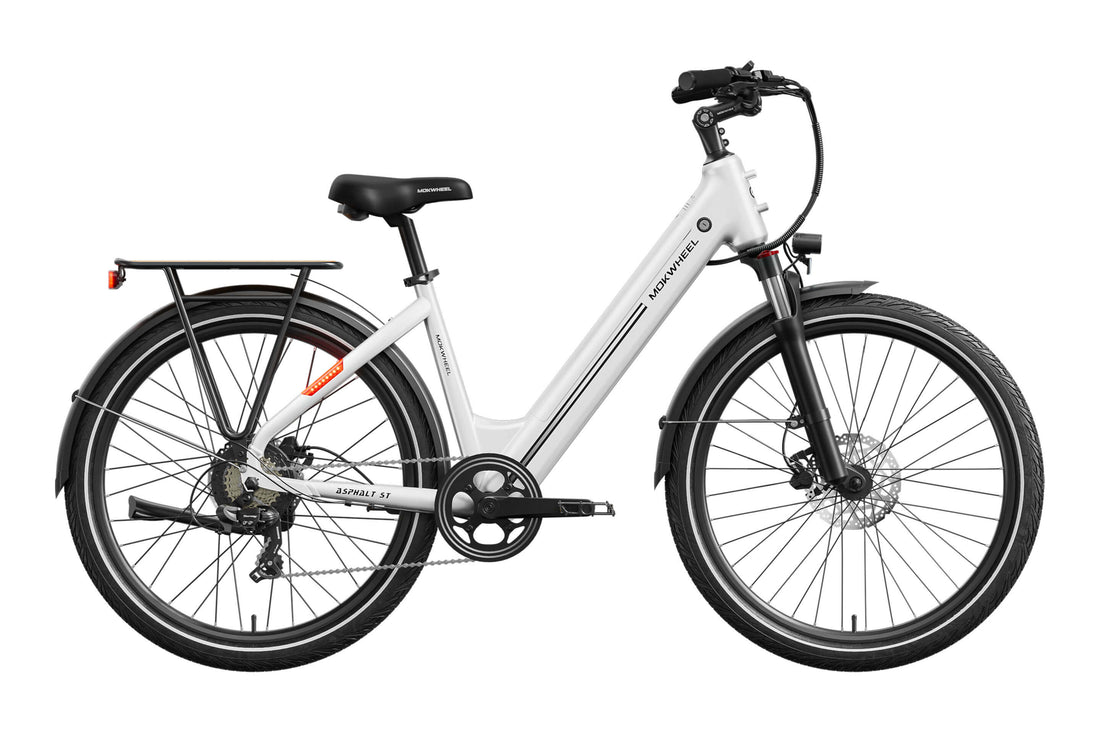 Mokwheel Asphalt ST Ebike