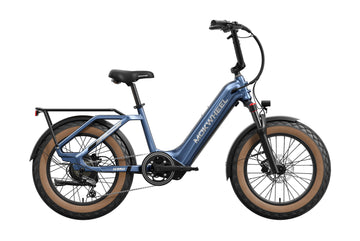 Mokwheel Scoria Ebike