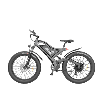 AOSTIRMOTOR S17 48V/20Ah 1500W Fat Tire Electric Bike